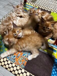 Momma in her nursery with her babies