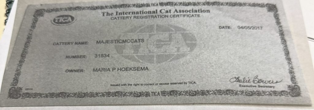 TICA Registered Cattery Certificate for Majestic Maine Coon Cats in Canton, GA